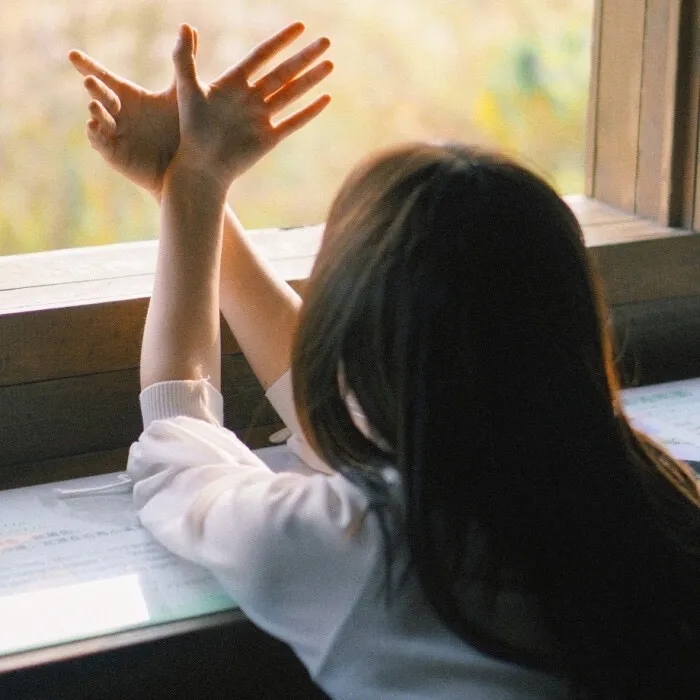 申城谜案局中局